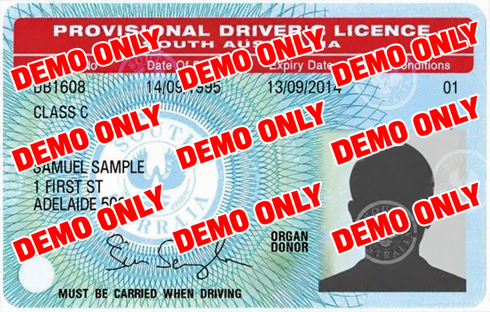 SA Physical Provisional License